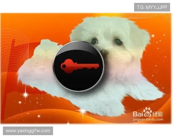 亚星在线登录密码修改流程详解教你轻松更换密码保障账号信息安全的完整步骤